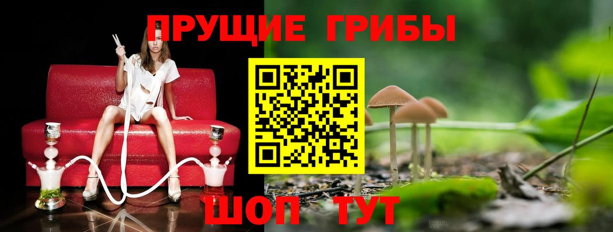 Галлюциногенные грибы мухоморы  Псилоцибиновые грибы прущие грибы  Кинель  Вход с VPN 